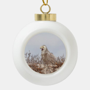 Snowy owl op het strand keramische bal ornament