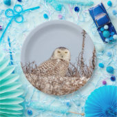 Snowy owl op het strand papieren bordje (Feest)