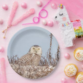 Snowy owl op het strand papieren bordje (Feest)