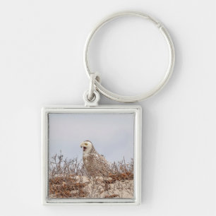Snowy owl op het strand sleutelhanger