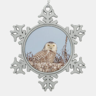 Snowy owl op het strand tin sneeuwvlok ornament