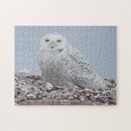 Snowy Owl op schelpen Legpuzzel