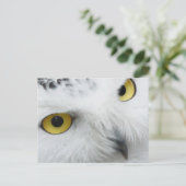 Snowy Owl Photo Briefkaart (Staand voorkant)