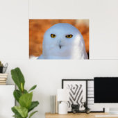 Snowy Owl Poster (Thuiskantoor)