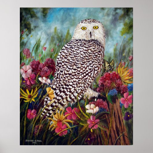 Snowy Owl Poster (Voorkant)