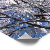 "Snowy Owl" Poster (Hoek)