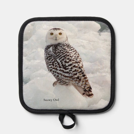 Snowy Owl pot houder (Voorkant)