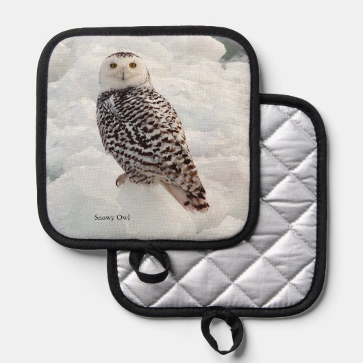 Snowy Owl pot houder (Voorkant / Achterkant)