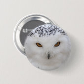 Snowy Owl Ronde Button 5,7 Cm (Voorkant /achterkant)