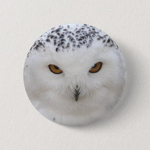 Snowy Owl Ronde Button 5,7 Cm