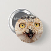 Snowy Owl Ronde Button 5,7 Cm (Voorkant /achterkant)