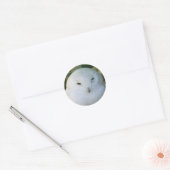 Snowy Owl Ronde Sticker (Envelop)