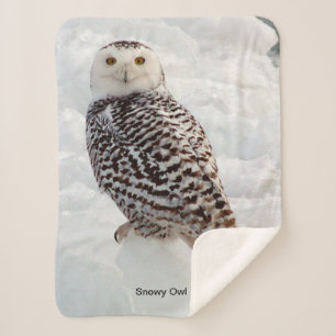 Snowy Owl Sherpa Blanket Deken