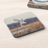 Snowy owl start op drankjes onderzetter (Linkerzijde)