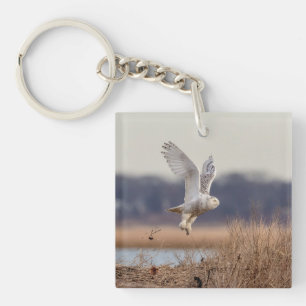 Snowy owl start op sleutelhanger