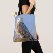 Snowy owl - tas (Dichtbij)