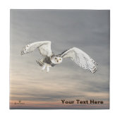 Snowy Owl Tegeltje (Voorkant)