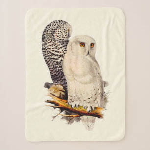 Snowy Owl tekening Sherpa Deken