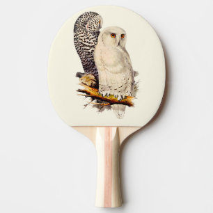 Snowy Owl tekening Tafeltennisbatje