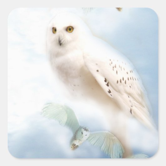 Snowy Owl Vierkante Sticker (Voorkant)
