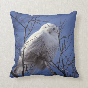 Snowy Owl, White Bird tegen een Sapphire Blue Sky Kussen
