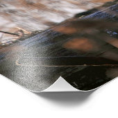 Snowy Owl Winking Foto Afdruk (Hoek)