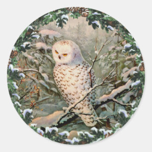 SNOWY OWL & WREATH by SHARON SHARPE Ronde Sticker