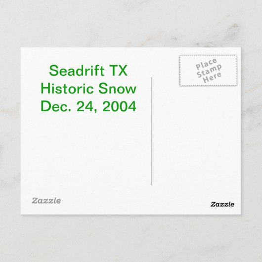 Snowy Palms in Seadrift Texas Briefkaart (Achterkant)