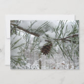 Snowy Pine Branch Winter Natuur (Voorkant)