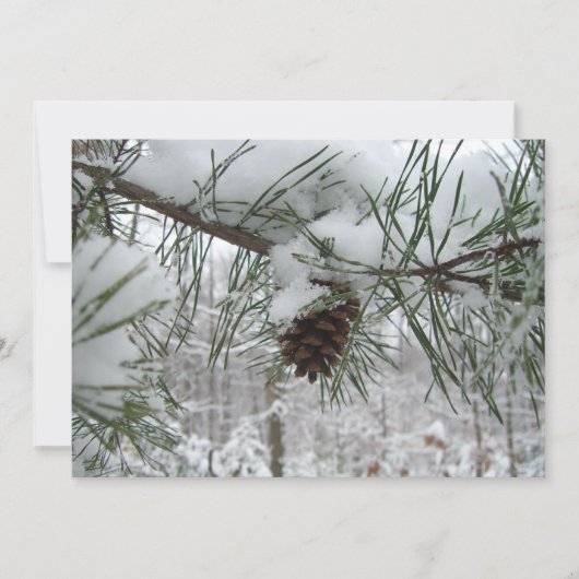 Snowy Pine Branch Winter Natuur (Voorkant)