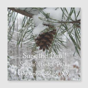 Snowy Pine Branch Winter Natuur