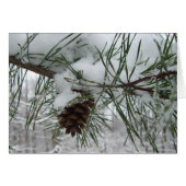 Snowy Pine Branch Winter Natuur (Voorkant Horizontaal)