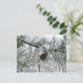 Snowy Pine Branch Winter Natuur Briefkaart (Staand voorkant)