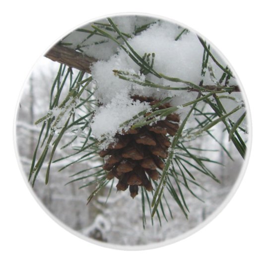 Snowy Pine Branch Winter Natuur Keramische Knop (Voorkant)