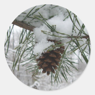 Snowy Pine Branch Winter Natuur Ronde Sticker