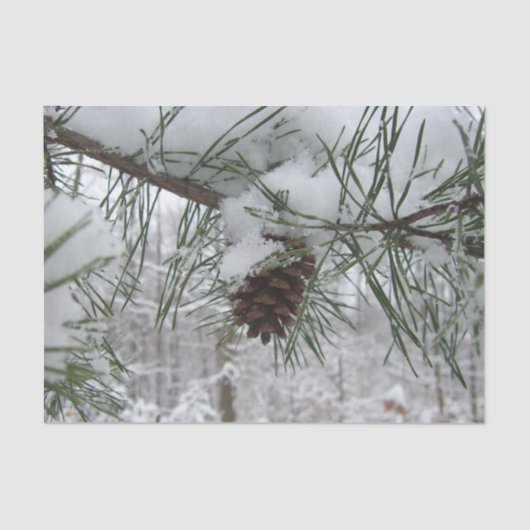 Snowy Pine Branch Winter Natuur Tissuepapier (Voorkant)