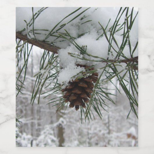 Snowy Pine Branch Winter Natuur Wijn Etiket (Enkel label)