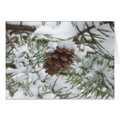 Snowy Pine Cone I (Devant Horizontal)