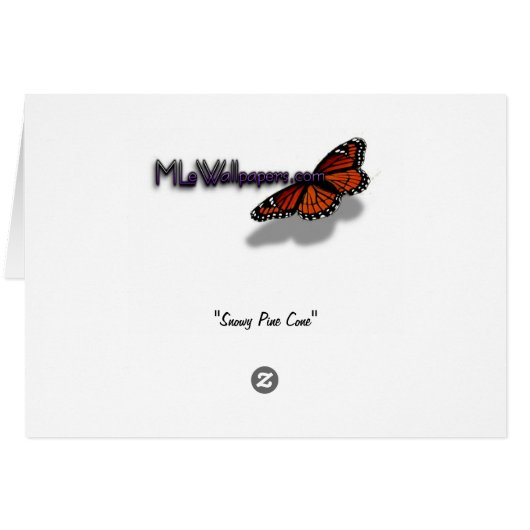 Snowy Pine Cone I (Dos Horizontal)