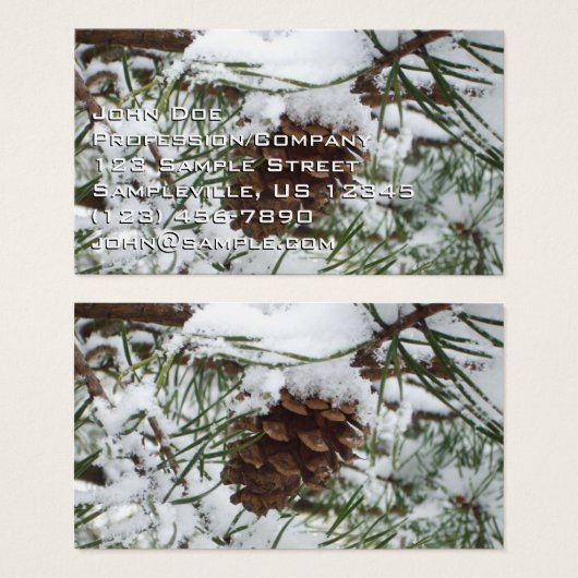 Snowy Pine Cone I (Devant & derrière)