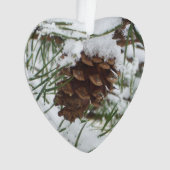 Snowy Pine Cone I (devant)
