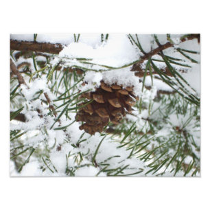 Snowy Pine Cone I Winter Natuur Foto Afdruk