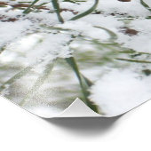 Snowy Pine Cone I Winter Natuur Foto Afdruk (Hoek)