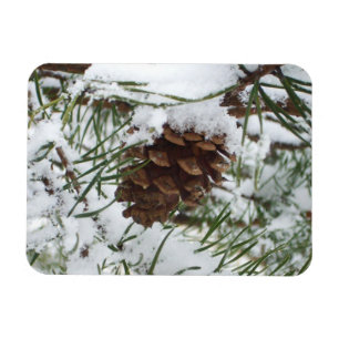 Snowy Pine Cone I Winter Natuur Foto Magneet
