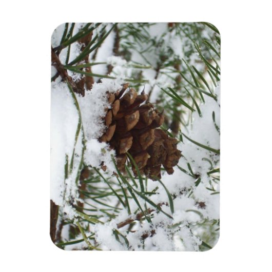Snowy Pine Cone I Winter Natuur Foto Magneet (Verticaal)