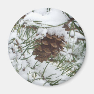 Snowy Pine Cone I Winter Natuur Foto Magneet