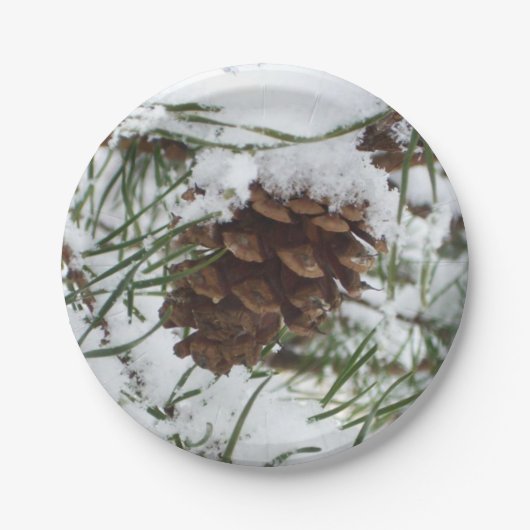Snowy Pine Cone I Winter Natuur Foto Papieren Bordje (Voorkant)