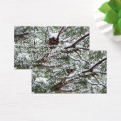 Snowy Pine Cône II hiver Photographie de la nature (Bureau)