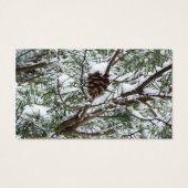 Snowy Pine Cône II hiver Photographie de la nature (Dos)