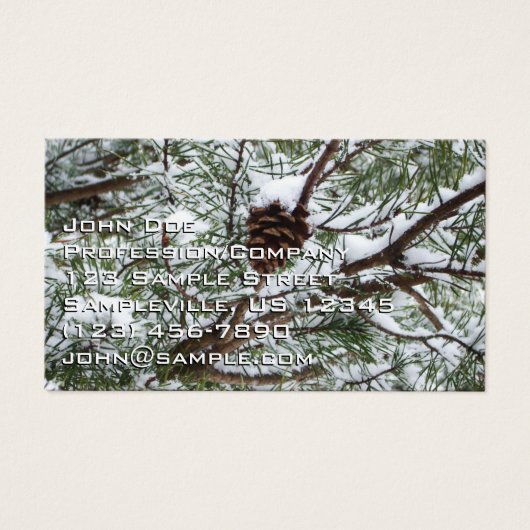 Snowy Pine Cône II hiver Photographie de la nature (Devant)